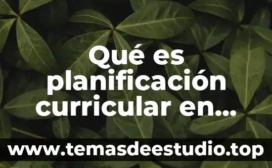 Qué es planificación curricular en educación