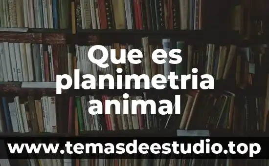 Que es un animal llamado arlomo 8 Que es planimetria animal