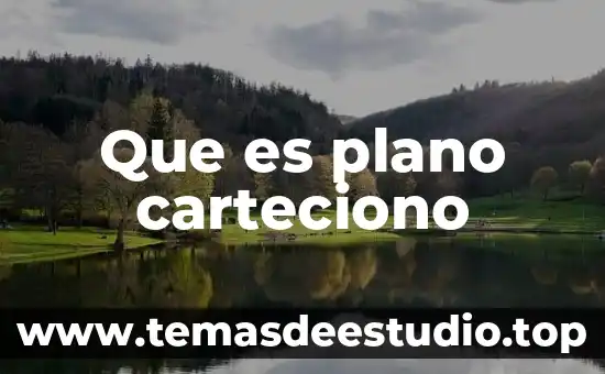 Qué es el lan y cuál es su función 4 Que es plano carteciono