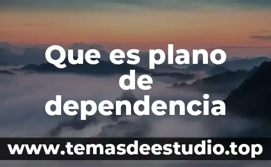 Que es dependencia estructural 3 Que es plano de dependencia