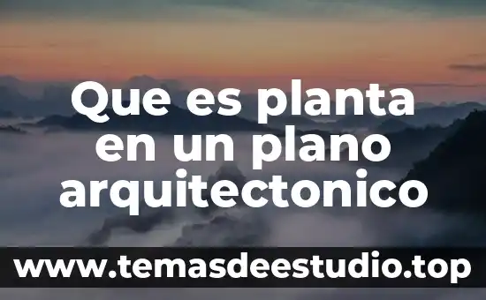 Que es un estilo arquitectonico de software 3 Que es planta en un plano arquitectonico