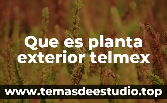 Que es courier en comercio exterior 6 Que es planta exterior telmex