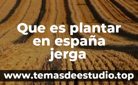 Que es plantar en españa jerga