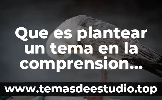 Que es justificar y plantear los objetivos segun tamayo 5 Que es plantear un tema en la comprension lectora