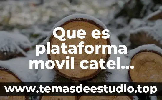 Qué es el host en comunicaciones 3 Que es plataforma movil catel comunicaciones
