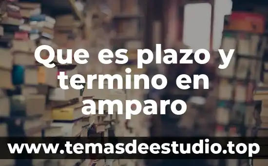 Que es un amparo directo adhesivo 6 Que es plazo y termino en amparo