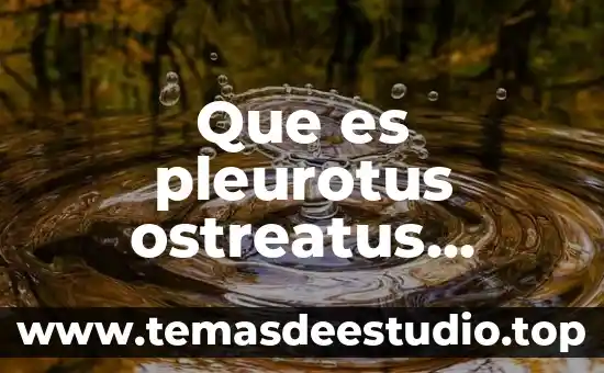 Qué es asma bronquial nombre común 6 Que es pleurotus ostreatus nombre comun
