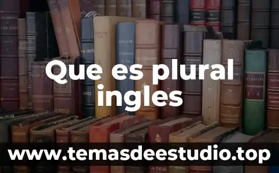 Que es una sociedad plural ejemplo 5 Que es plural ingles