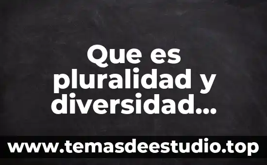 Que es pluralidad y diversidad social