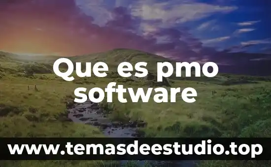 Que es pmo software