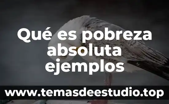 Que es un fetiche y ejemplos 6 Qué es pobreza absoluta ejemplos