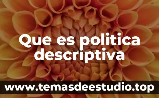 Conclusión personal sobre que es la estadística descriptiva 4 Que es politica descriptiva