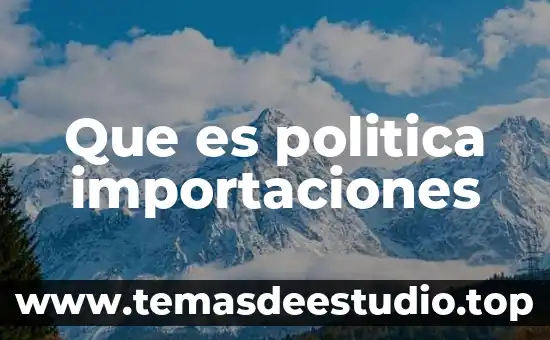 Que es decision politica 4 Que es politica importaciones