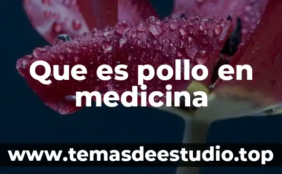 Que es pollo en medicina