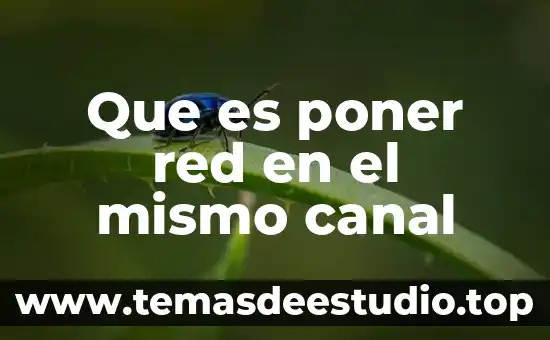 Que es poner red en el mismo canal