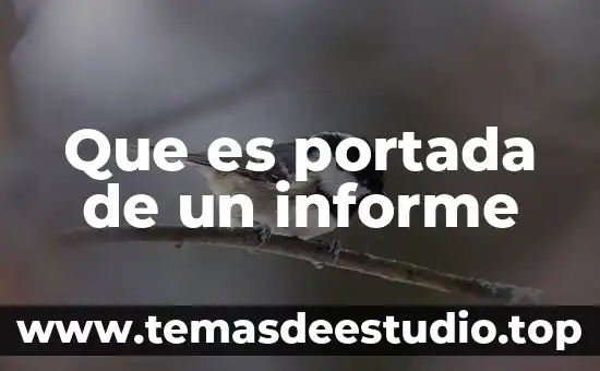 Qué es la conclusión en un informe científico 7 Que es portada de un informe