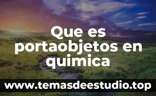 Qué es sociedad tradicional de México 5 Que es portaobjetos en quimica