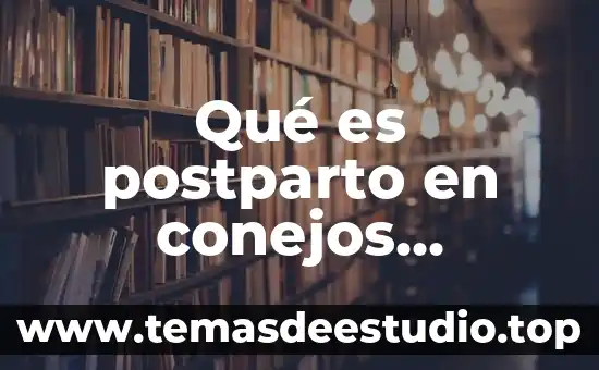 Concepto de que es un símbolo 6 Qué es postparto en conejos concepto