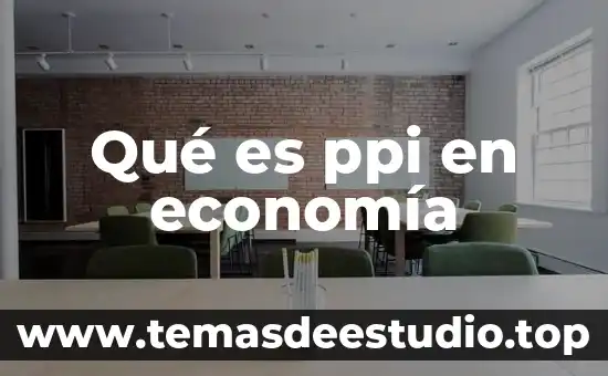 Qué es cpp en economía 5 Qué es ppi en economía