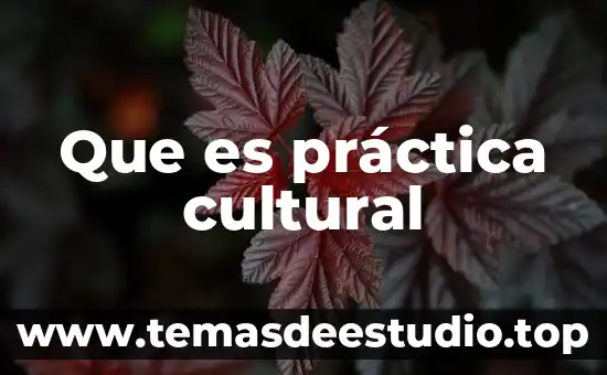 Que es el patrimonio cultural de las artes visuales 4 Que es práctica cultural