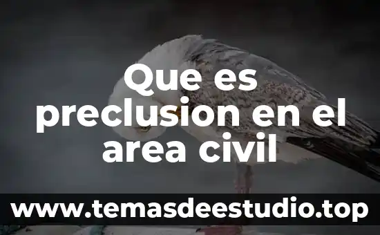Que es preclusion en el area civil