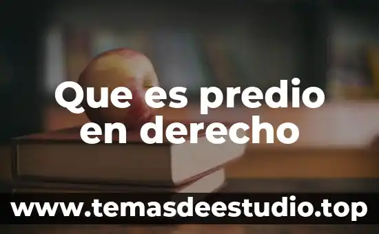 Que es predio en derecho