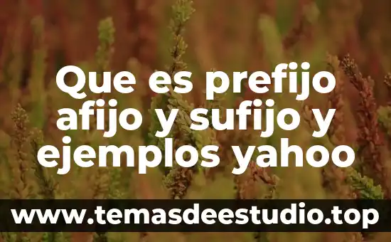 Que es prefijo afijo y sufijo y ejemplos yahoo