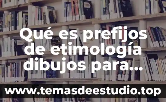 Dibujar que es un vector graficamente 3 Qué es prefijos de etimología dibujos para dibujar