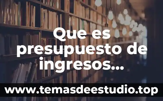 Que es un presupuesto de movimiento 7 Que es presupuesto de ingresos ejemplo
