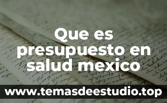 Que es un presupuesto de movimiento 8 Que es presupuesto en salud mexico