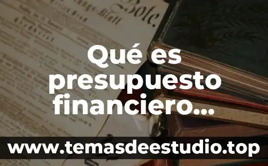 Qué es presupuesto financiero ejemplo