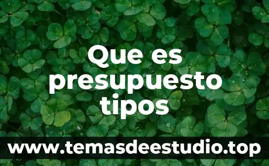 Que es presupuesto tipos