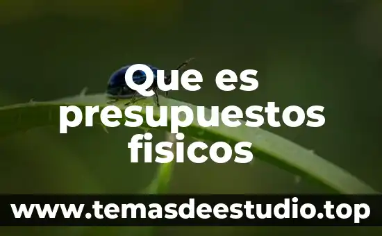 Que es la politica de presupuestos 6 Que es presupuestos fisicos