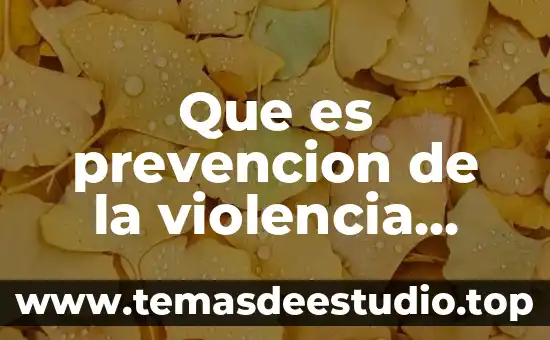 Que es la violencia en la filosofia 7 Que es prevencion de la violencia hacia las mujeres