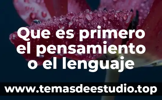 Que es primero el pensamiento o el lenguaje