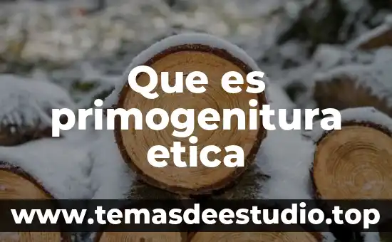 Qué es la ética de la felicidad y la justicia 6 Que es primogenitura etica