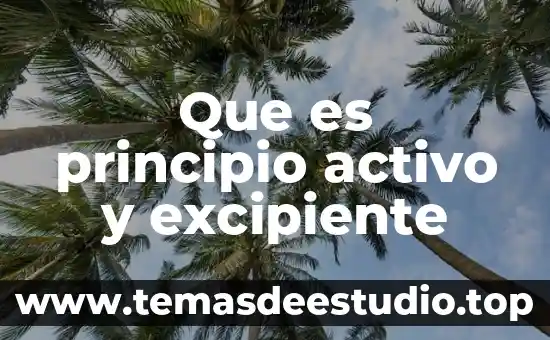 Que es el principio unificador de la unidad 8 Que es principio activo y excipiente