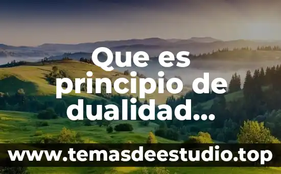 Que es el principio de dualidad en programacion lineal 5 Que es principio de dualidad económica