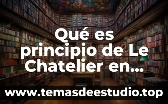 Que es el amor como principio de vida 4 Qué es principio de Le Chatelier en química