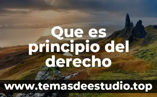 Que es el amor como principio de vida 6 Que es principio del derecho