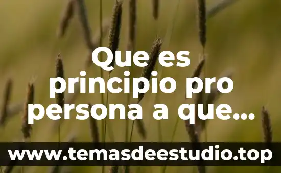 Que es principio pro persona a que refiere