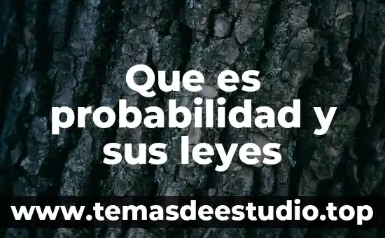 Que es probabilidad y sus leyes
