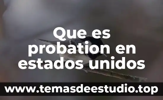 Que es el programa daca en estados unidos 3 Que es probation en estados unidos
