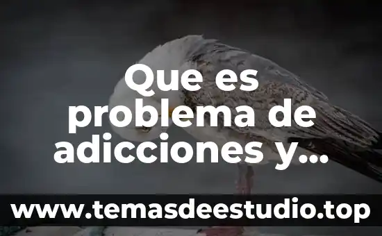 Qué es la demanda de atención en la historia social 7 Que es problema de adicciones y atencion