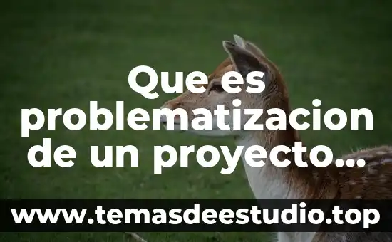 Que es proyecto de danza 3 Que es problematizacion de un proyecto de investigación