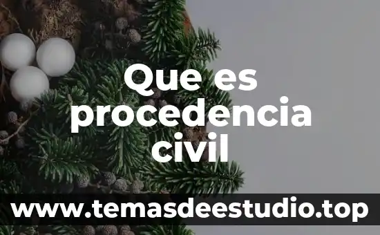 Qué es la procedencia concepto jurídico 3 Que es procedencia civil