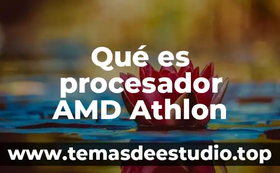 Qué es procesador AMD Athlon