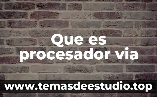Que es procesador via
