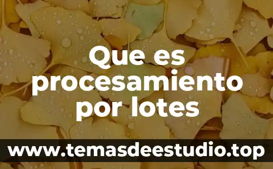 Que es venta de lotes 6 Que es procesamiento por lotes