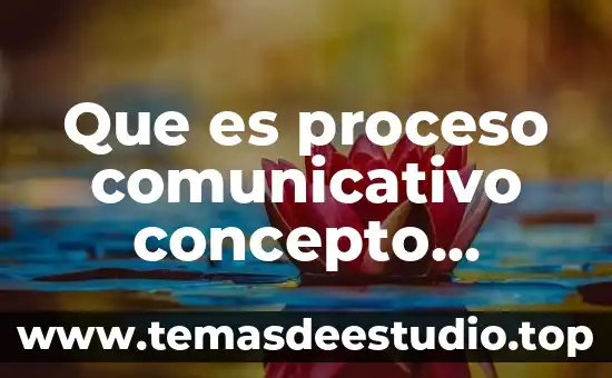 Qué es el sujeto según la Real Academia Española 4 Que es proceso comunicativo concepto bibliografico real academia española